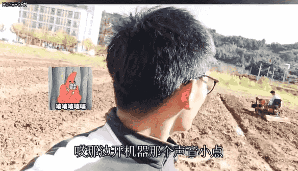f7f745c6388af4fe633eac606bca6867.gif