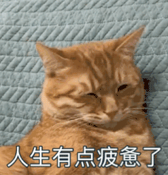 08d6850d6c0d129e033ce321bf349afa.gif
