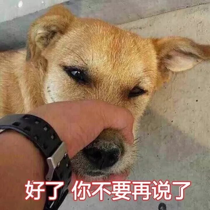caa3ec7a7cdd1238d846e64801bfe997.png