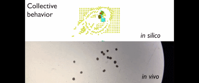 48ac4847734d2c5ca15340a295436680.gif