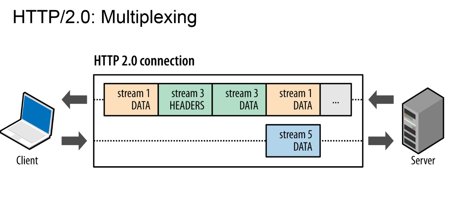 image-20220430003413290