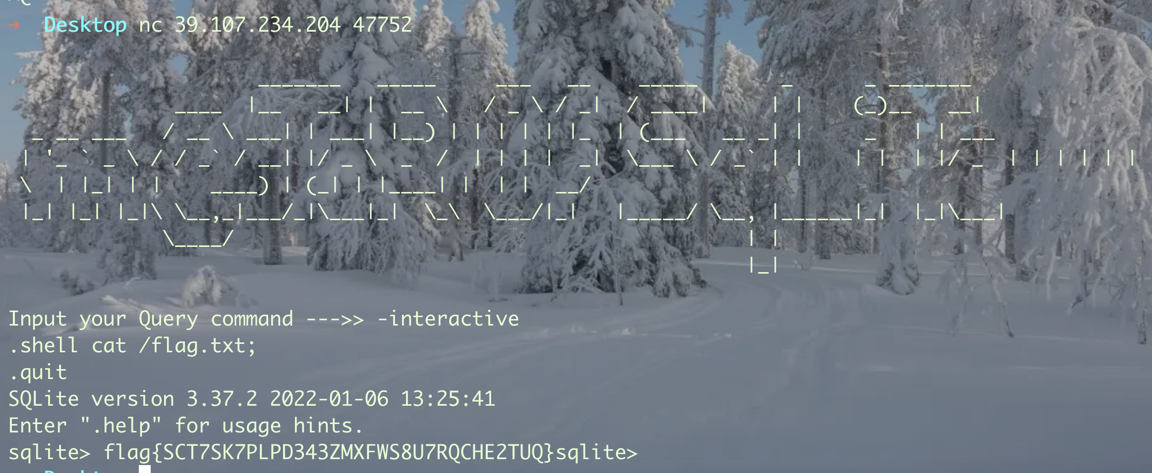 image-20220919181826436